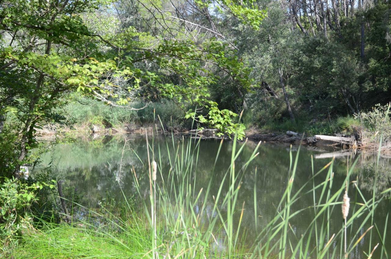 Domaine Hemmitage Lägenhet Salernes Exteriör bild