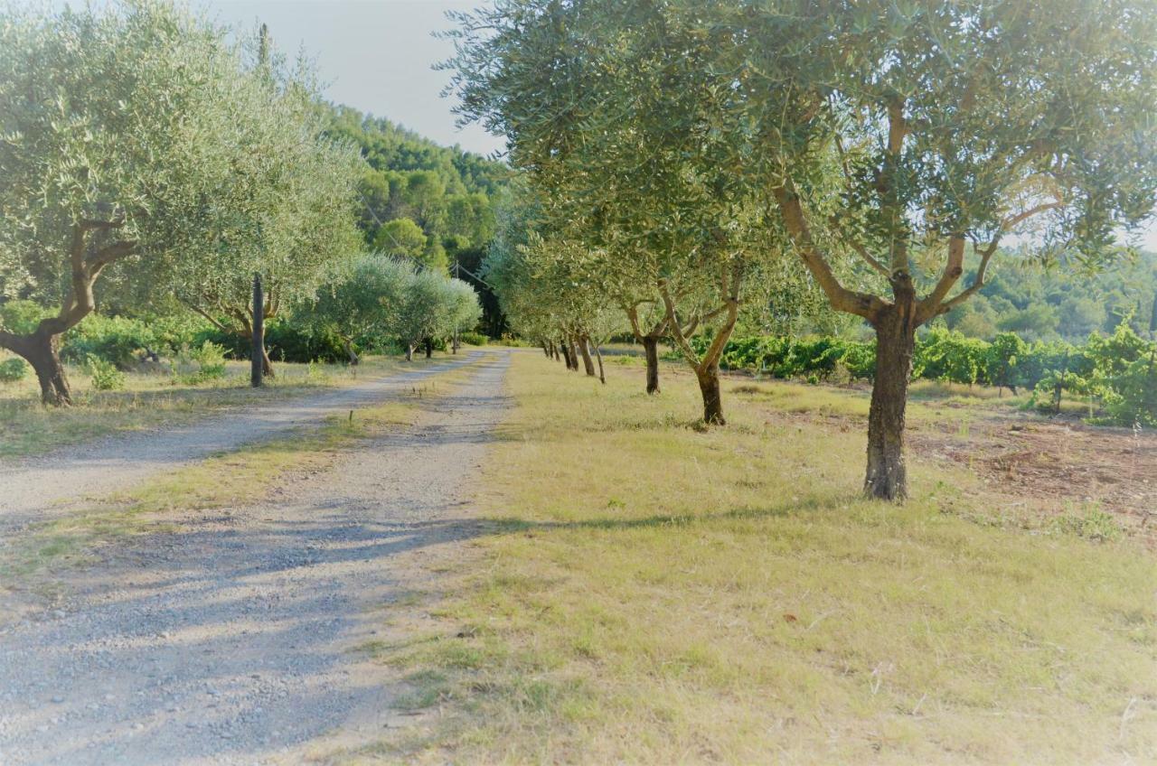 Domaine Hemmitage Lägenhet Salernes Exteriör bild