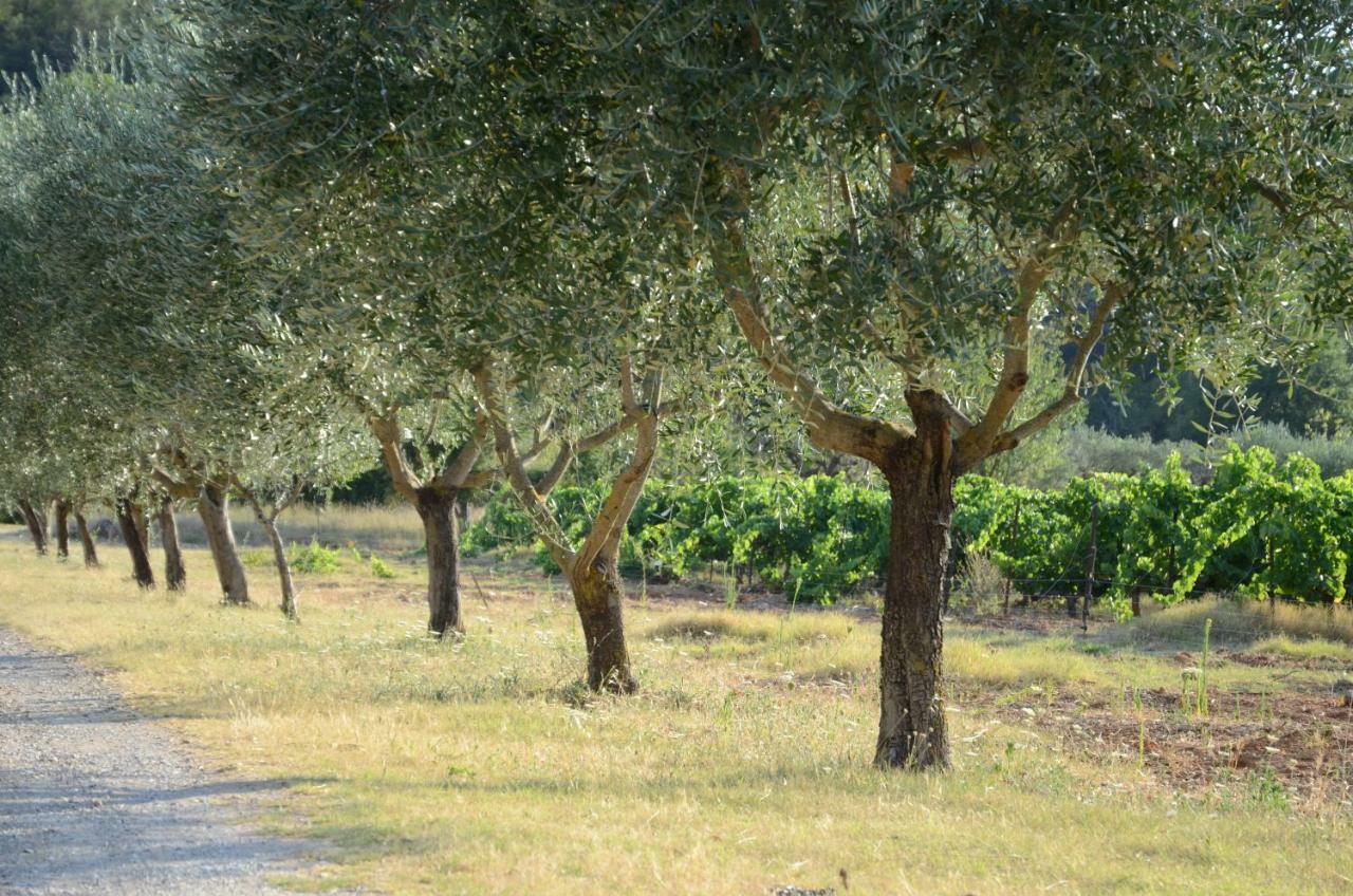 Domaine Hemmitage Lägenhet Salernes Exteriör bild
